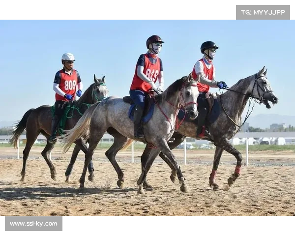 2023欧洲马术锦标赛法国克罗泽特精彩举行赛马竞技盛宴